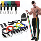 Portable Home Gym Resistance Bands Set (11 PCS)